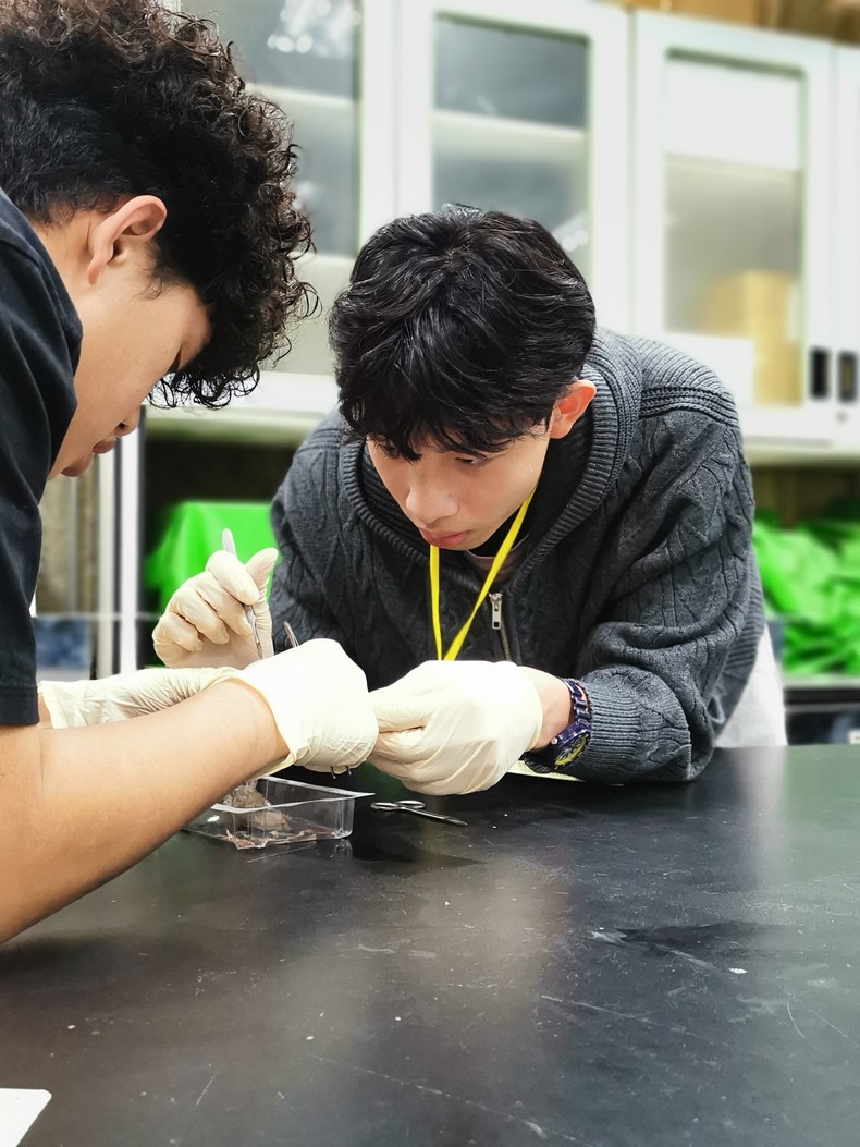 2026高中生生命科學研習營-圖片14