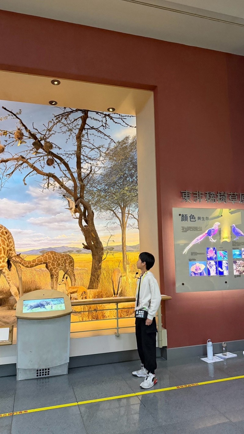 2026小小解說員研習營(7/30-31)-圖片28