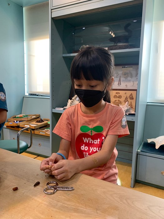 幼兒園：到底喙不喙(7/10)-圖片15