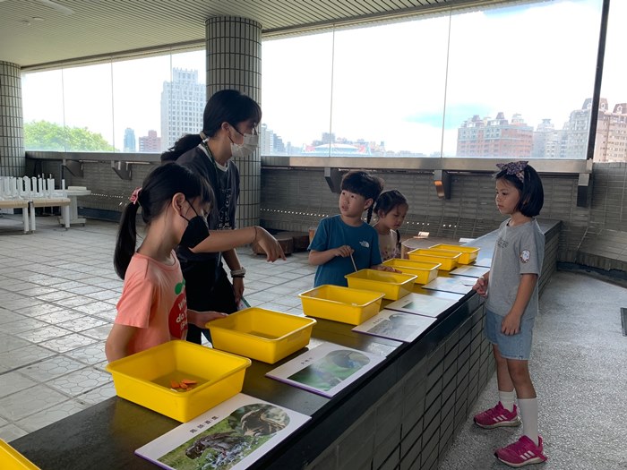 幼兒園：到底喙不喙(7/10)-圖片43