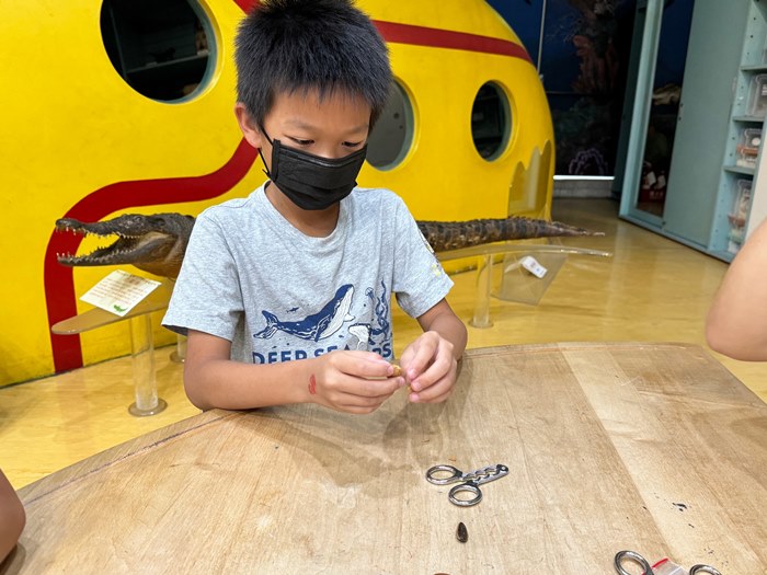 幼兒園：到底喙不喙(7/10)-圖片53