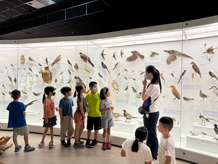 幼兒園：到底喙不喙(7/10)-圖片65