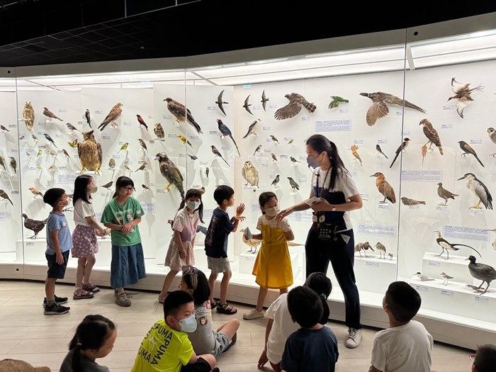 幼兒園：到底喙不喙(7/10)-圖片66