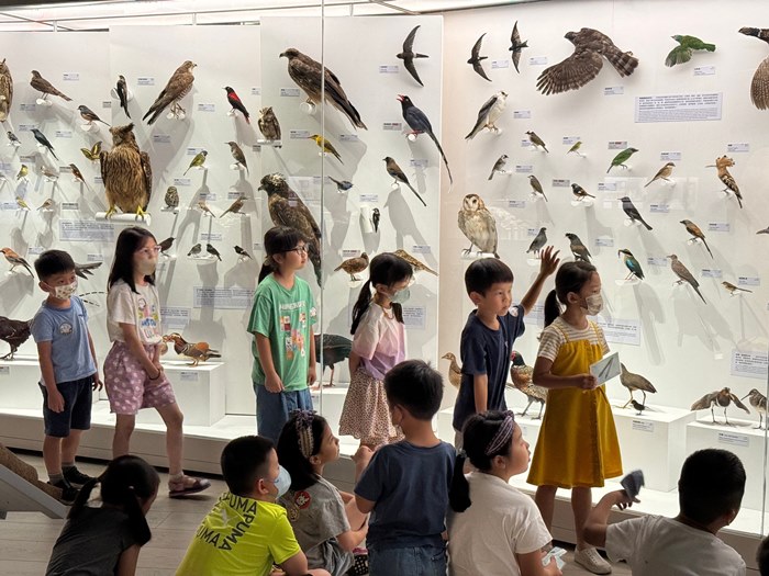 幼兒園：到底喙不喙(7/10)-圖片67