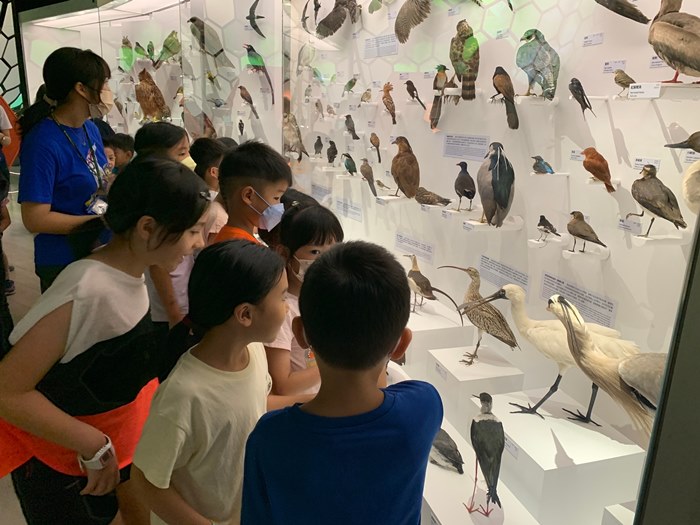 幼兒園：到底喙不喙(7/12)-圖片5