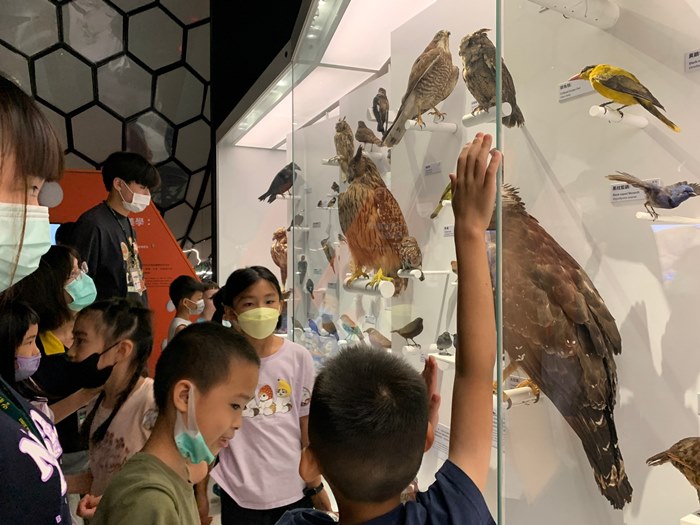 幼兒園：到底喙不喙(7/12)-圖片6