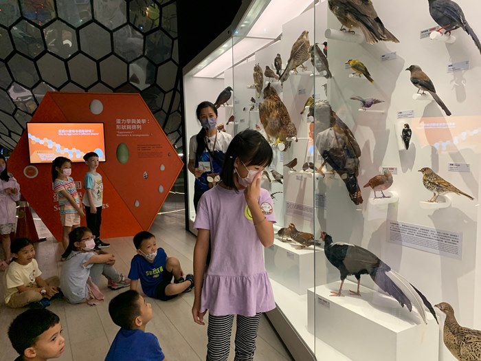幼兒園：到底喙不喙(7/12)-圖片9