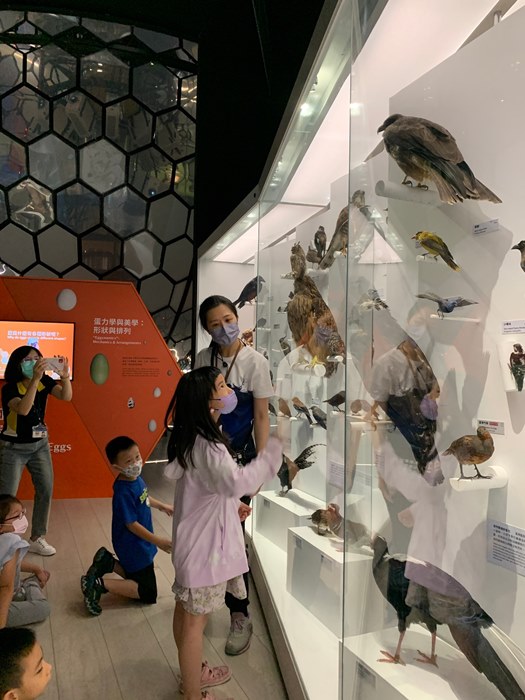 幼兒園：到底喙不喙(7/12)-圖片11