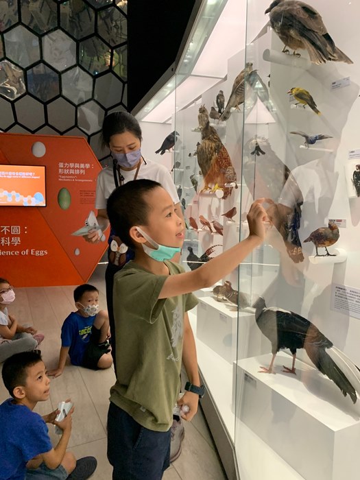 幼兒園：到底喙不喙(7/12)-圖片15