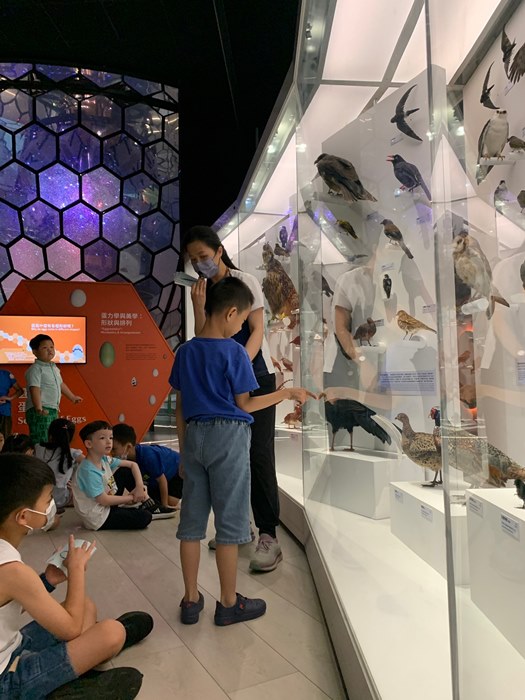 幼兒園：到底喙不喙(7/12)-圖片16