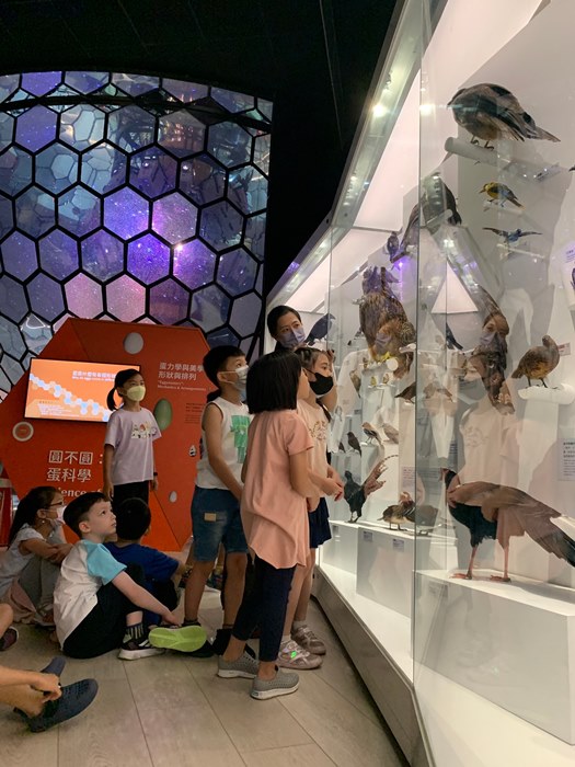 幼兒園：到底喙不喙(7/12)-圖片23