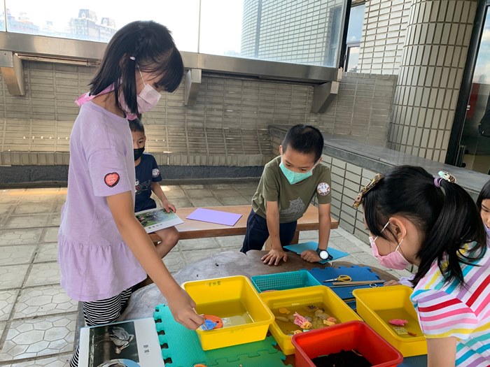 幼兒園：到底喙不喙(7/12)-圖片36
