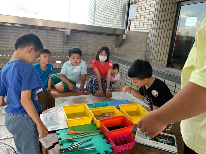幼兒園：到底喙不喙(7/12)-圖片40