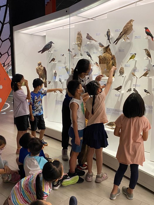 幼兒園：到底喙不喙(7/12)-圖片89