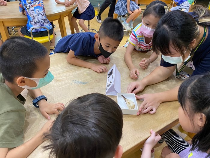 幼兒園：到底喙不喙(7/12)-圖片96