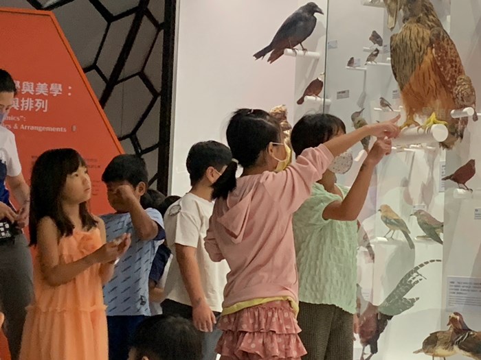 幼兒園：到底喙不喙(7/17)-圖片5
