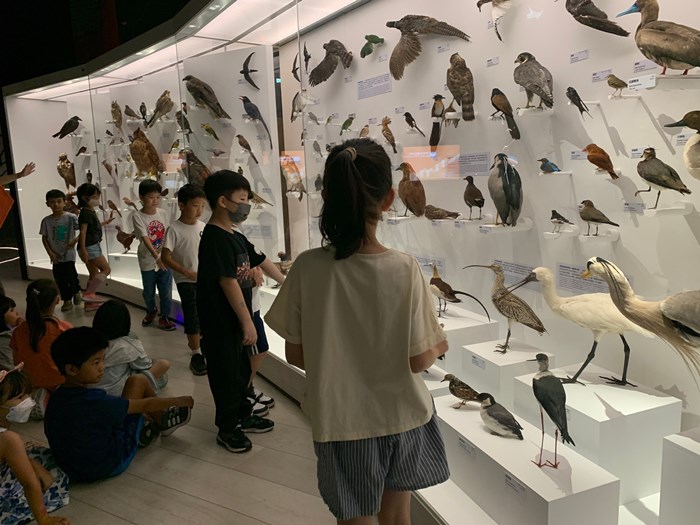 幼兒園：到底喙不喙(7/17)-圖片7