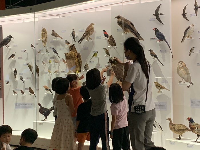 幼兒園：到底喙不喙(7/17)-圖片10