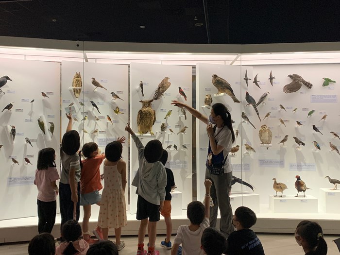 幼兒園：到底喙不喙(7/17)-圖片11