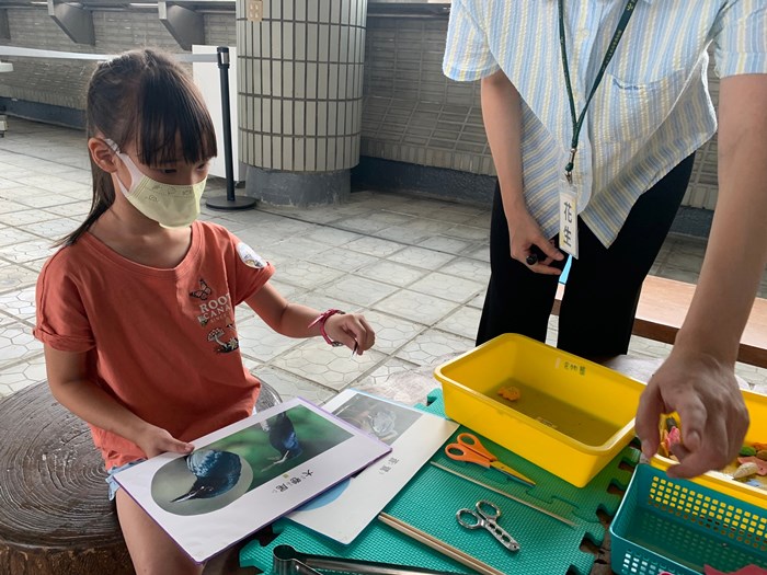 幼兒園：到底喙不喙(7/17)-圖片24
