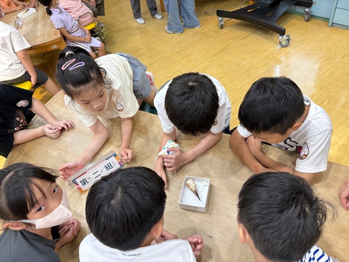 幼兒園：到底喙不喙(7/17)-圖片34