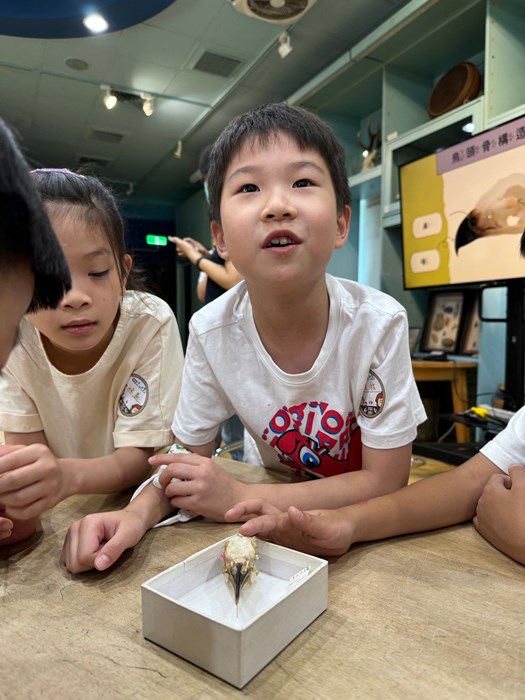 幼兒園：到底喙不喙(7/17)-圖片35