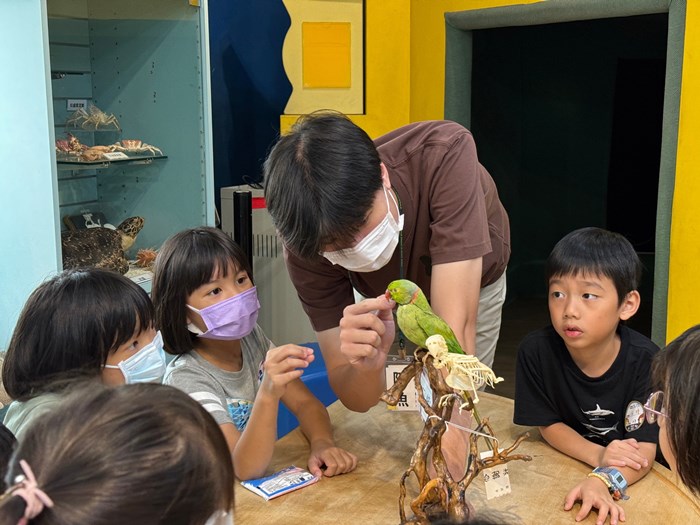 幼兒園：到底喙不喙(7/17)-圖片41