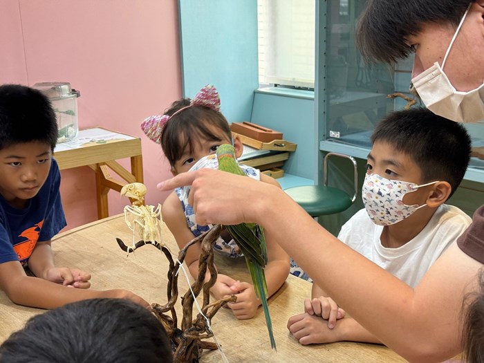 幼兒園：到底喙不喙(7/17)-圖片45