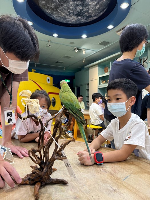 幼兒園：到底喙不喙(7/17)-圖片46