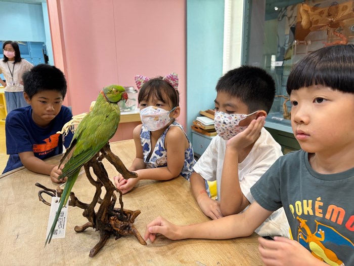 幼兒園：到底喙不喙(7/17)-圖片47