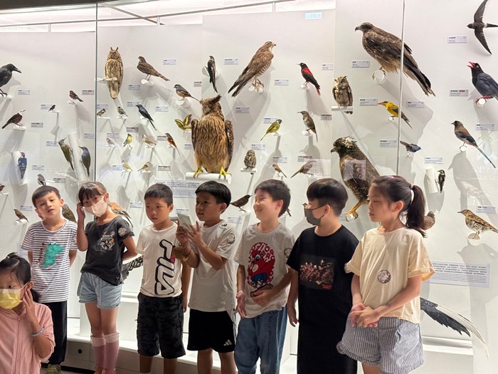 幼兒園：到底喙不喙(7/17)-圖片68