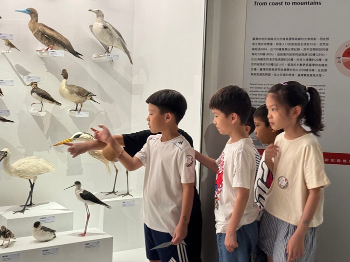 幼兒園：到底喙不喙(7/17)-圖片70