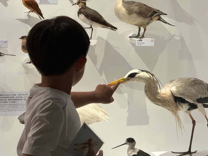 幼兒園：到底喙不喙(7/17)-圖片71