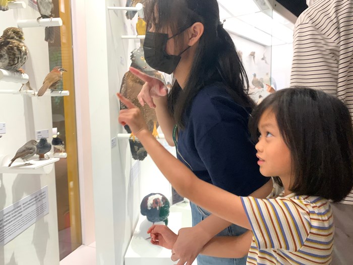 幼兒園：到底喙不喙(7/19)-圖片21