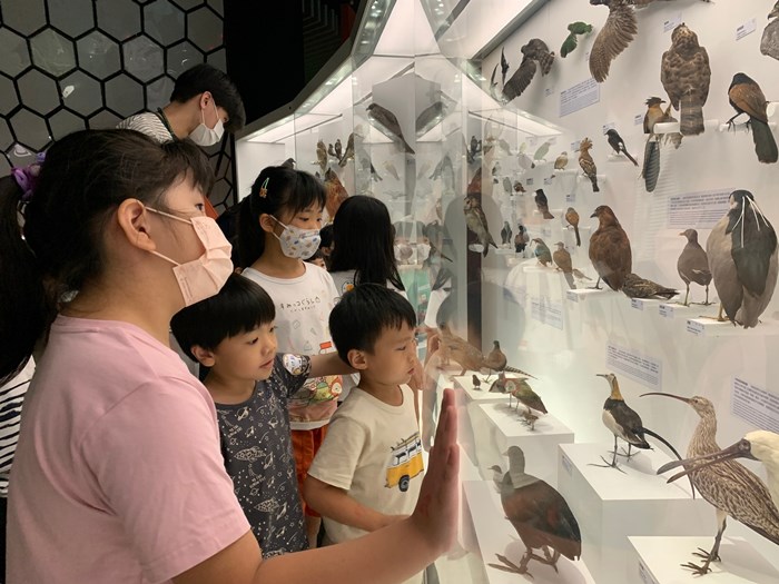 幼兒園：到底喙不喙(7/19)-圖片25