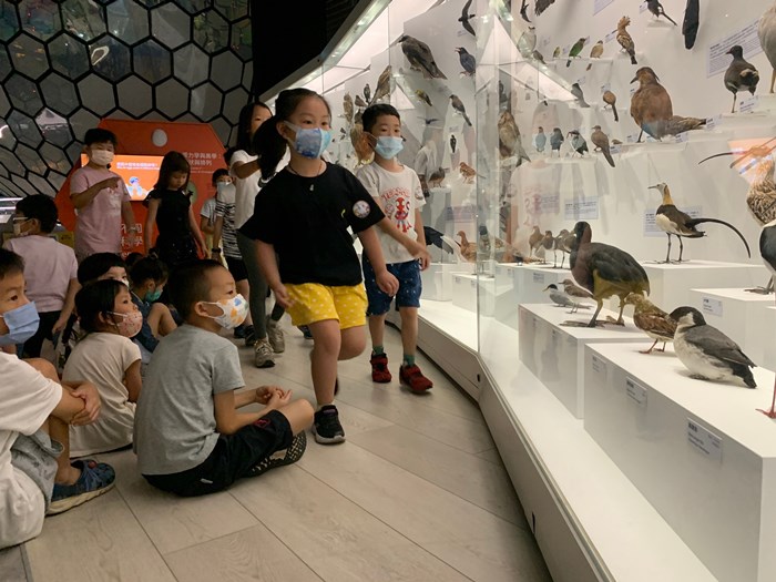 幼兒園：到底喙不喙(7/19)-圖片28