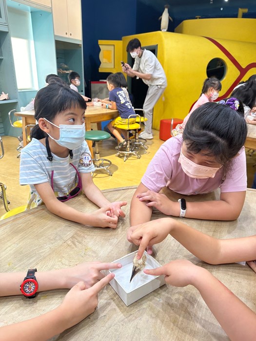 幼兒園：到底喙不喙(7/19)-圖片40