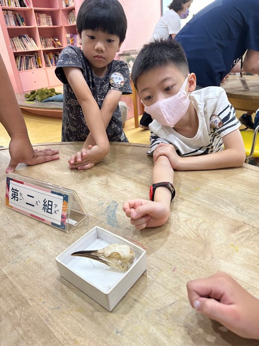 幼兒園：到底喙不喙(7/19)-圖片42