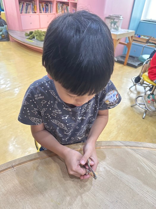 幼兒園：到底喙不喙(7/19)-圖片50
