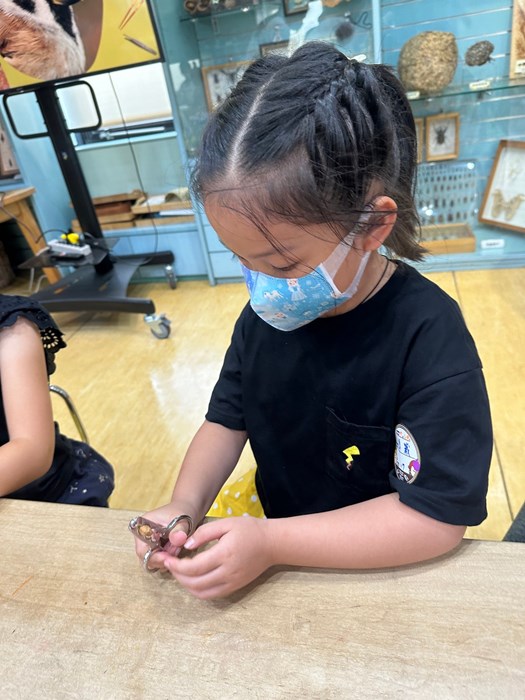 幼兒園：到底喙不喙(7/19)-圖片51