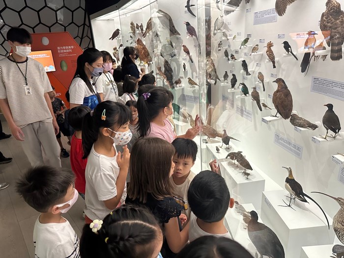 幼兒園：到底喙不喙(7/19)-圖片62
