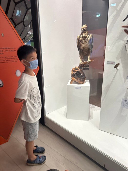 幼兒園：到底喙不喙(7/19)-圖片66