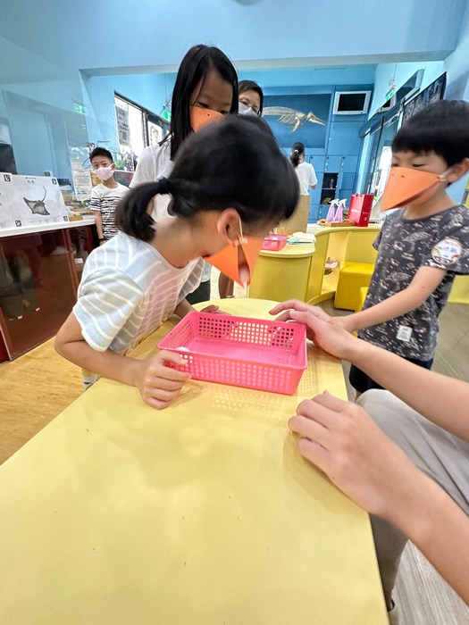 幼兒園：到底喙不喙(7/19)-圖片102