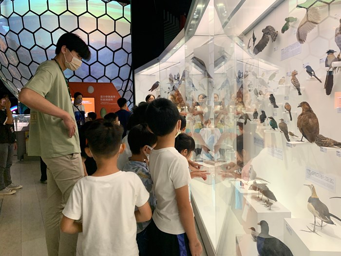 幼兒園：到底喙不喙(7/26)-圖片16
