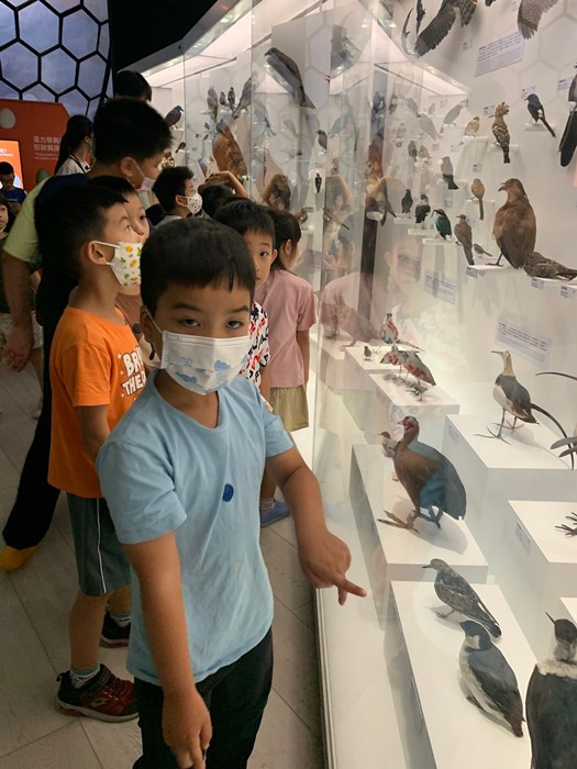 幼兒園：到底喙不喙(7/26)-圖片18