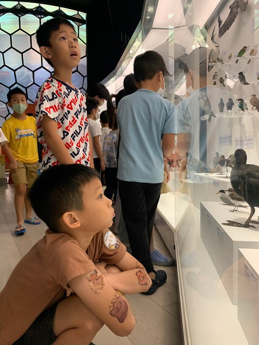 幼兒園：到底喙不喙(7/26)-圖片19