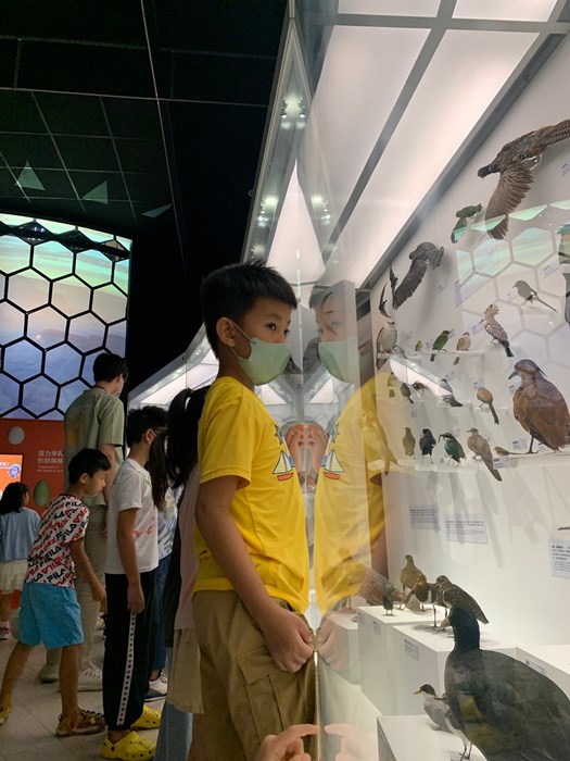 幼兒園：到底喙不喙(7/26)-圖片20