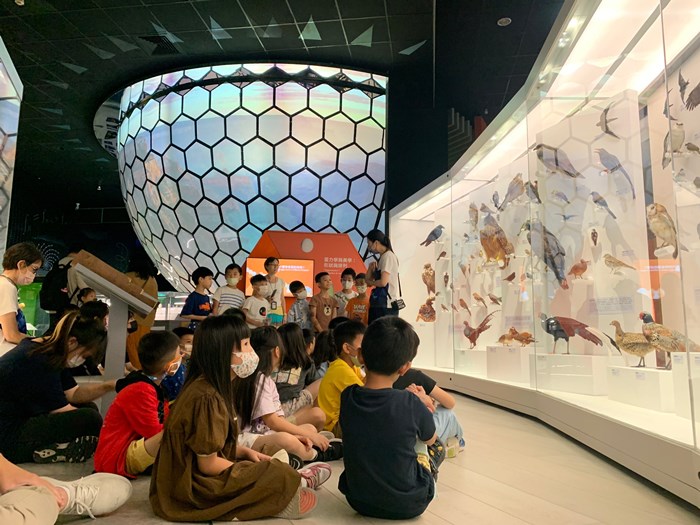 幼兒園：到底喙不喙(7/26)-圖片22