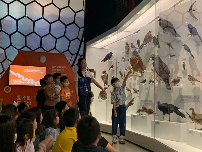幼兒園：到底喙不喙(7/26)-圖片24