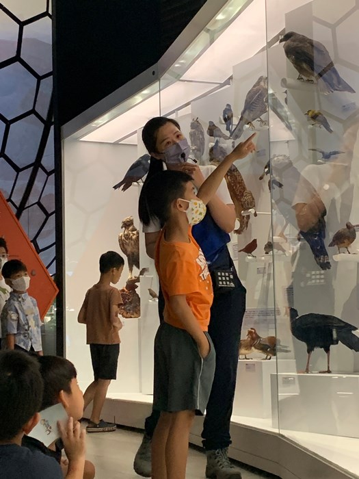 幼兒園：到底喙不喙(7/26)-圖片29